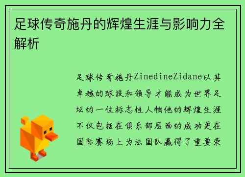 足球传奇施丹的辉煌生涯与影响力全解析